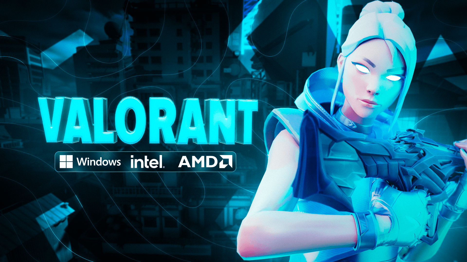 Kosmos Valorant Cheat software box art